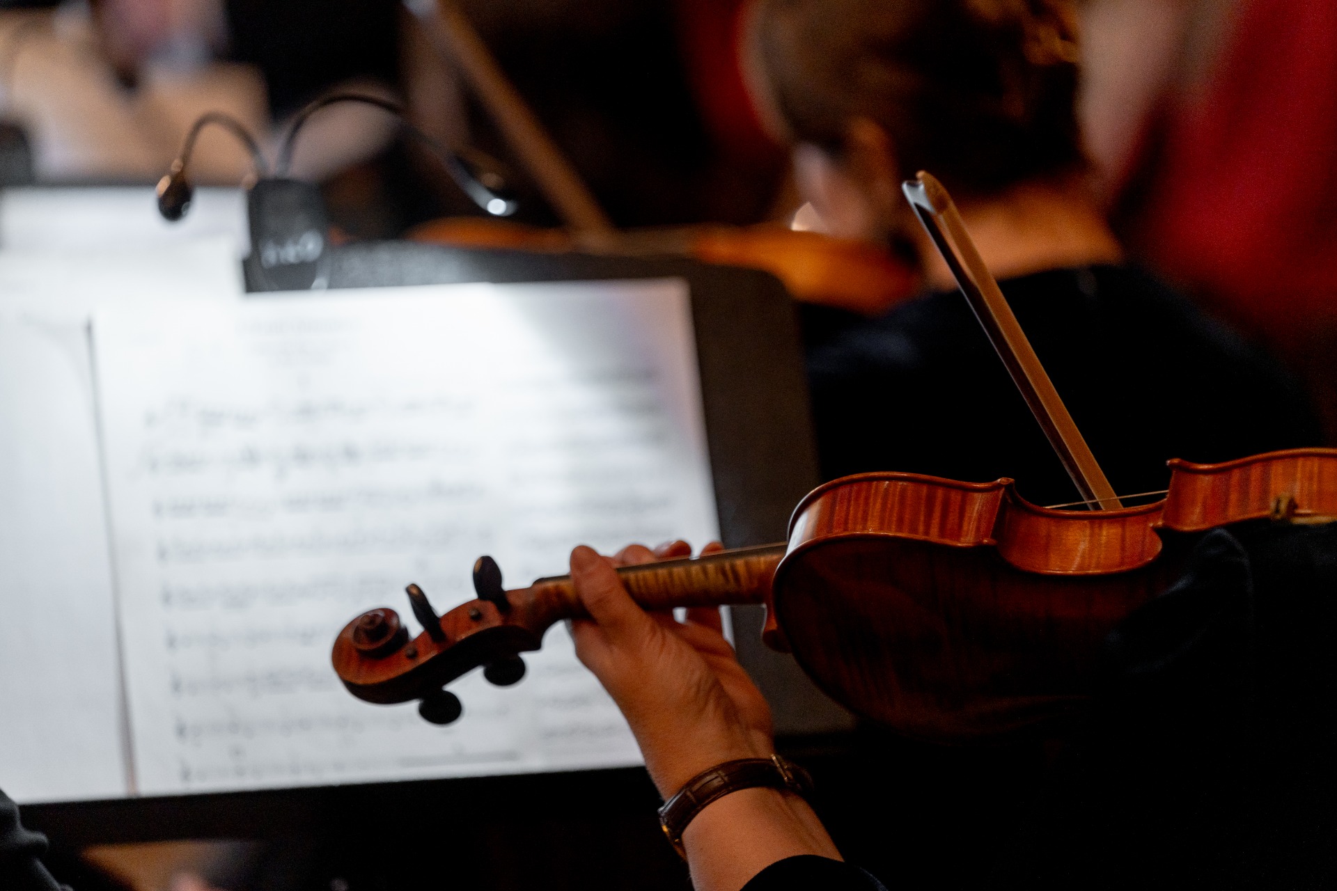 Музыкальные эскизы. Солисты Красноярского академического симфонического оркестра