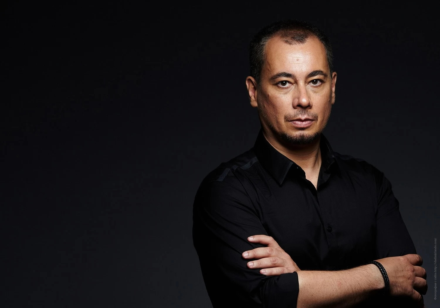 Владимир Ланде