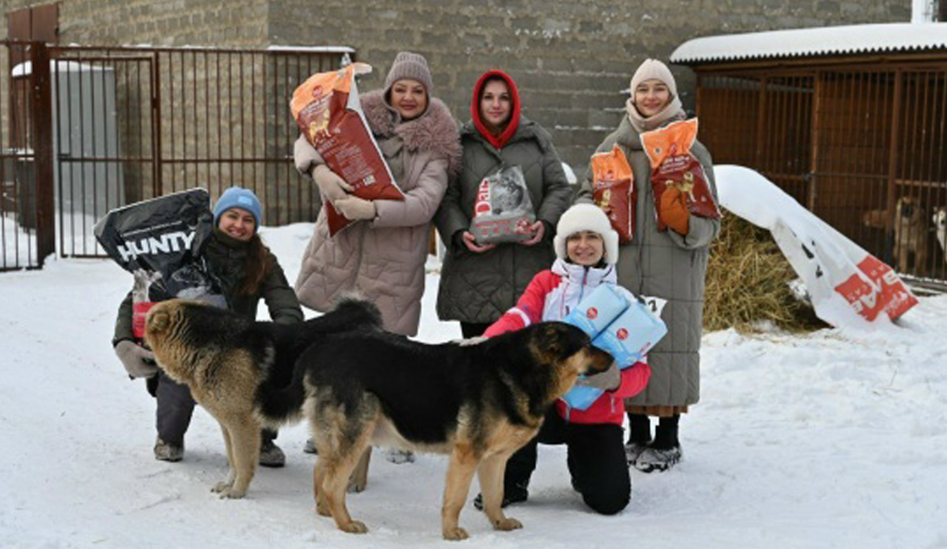 Красноярская филармония помогла бездомным животным